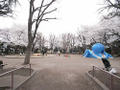 Photo_14