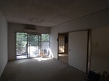 Ssr0028208