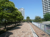 P1200089_2