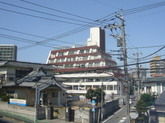 P1100535