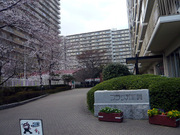 P1150854_2
