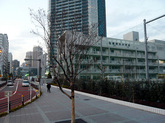 Jgdj_236