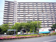 P1100900_2