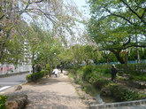 P1180564