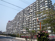P1180567_2