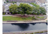 P1190258