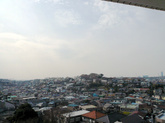 P1310667_3