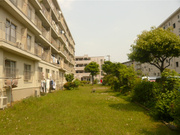 P1190649