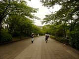 P1200191