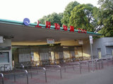 Photo_20