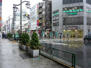 Photo_2