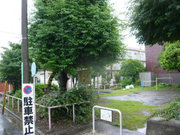 Photo_3