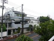Photo_5