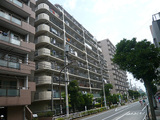 P1260153_2