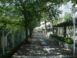 P1230450
