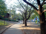 P1030800_2