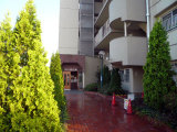 P1030850