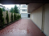 P1270052