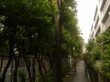 P1300296_2