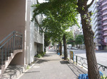 P1250761_2