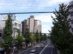 P1250916