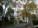 P1340674