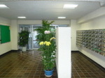 20081107207_101_2