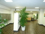 20081107207_102