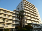 20081107207_112