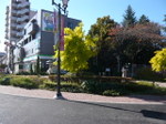 P1310059