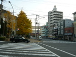 201204802_097