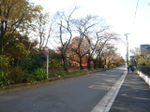 201130202_009