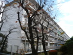 201206213_073