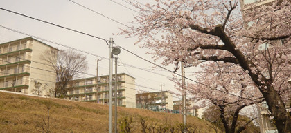 P1450297