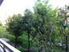 P1360623