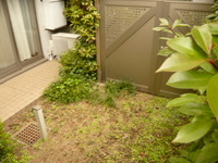P1490456