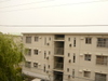 P1510946