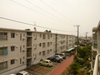 P1510951