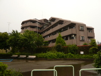 P1540409