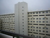 P1380423_2