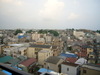 P1010497_2