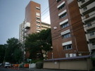 P1010854_2