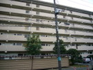 P1010856