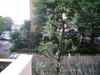 P1010876