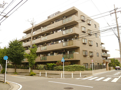P1590391