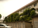 P1600078