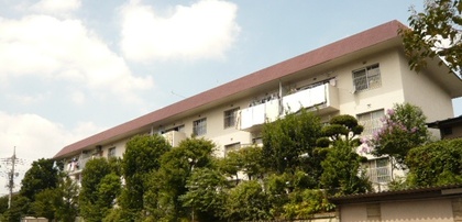 P1610580_2