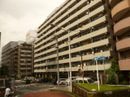 P1590264