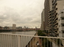 P1590273